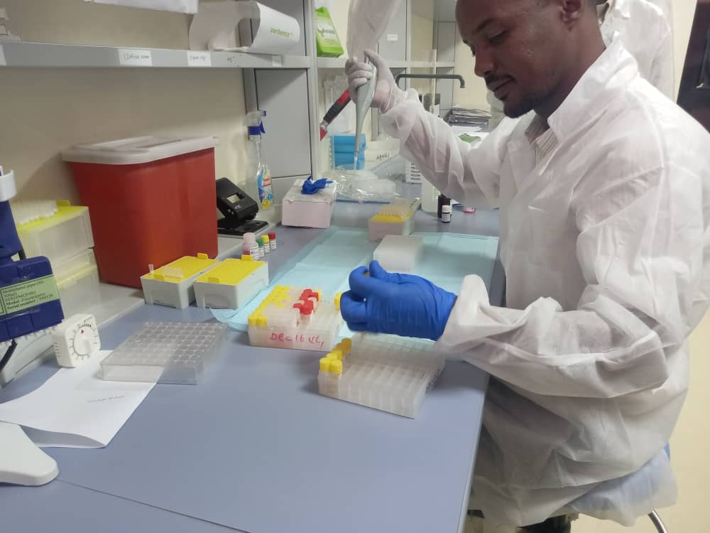 Laboratory technician prepares blood samples in laboratory