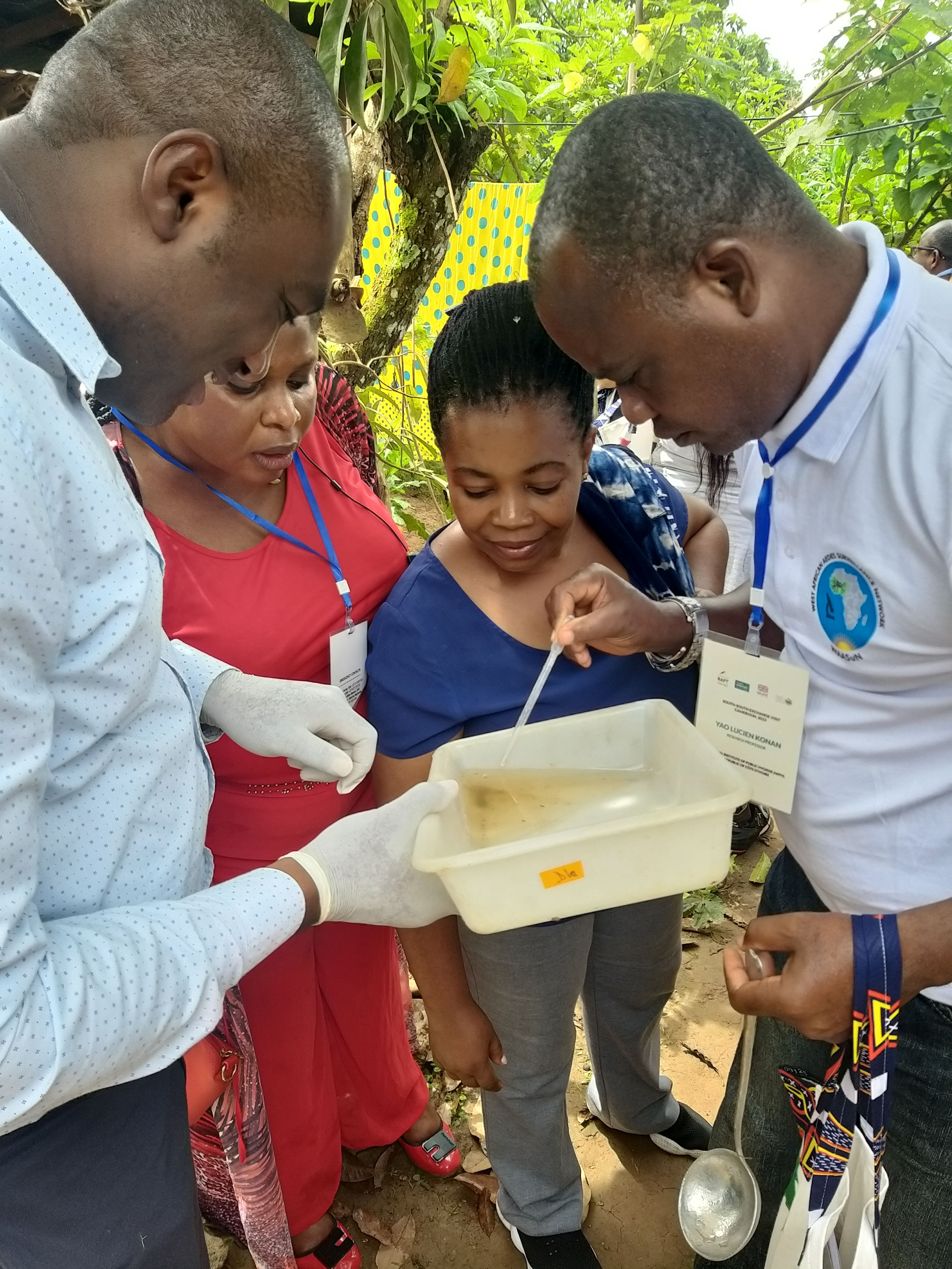 Groups of people stand around container of water looking at contents