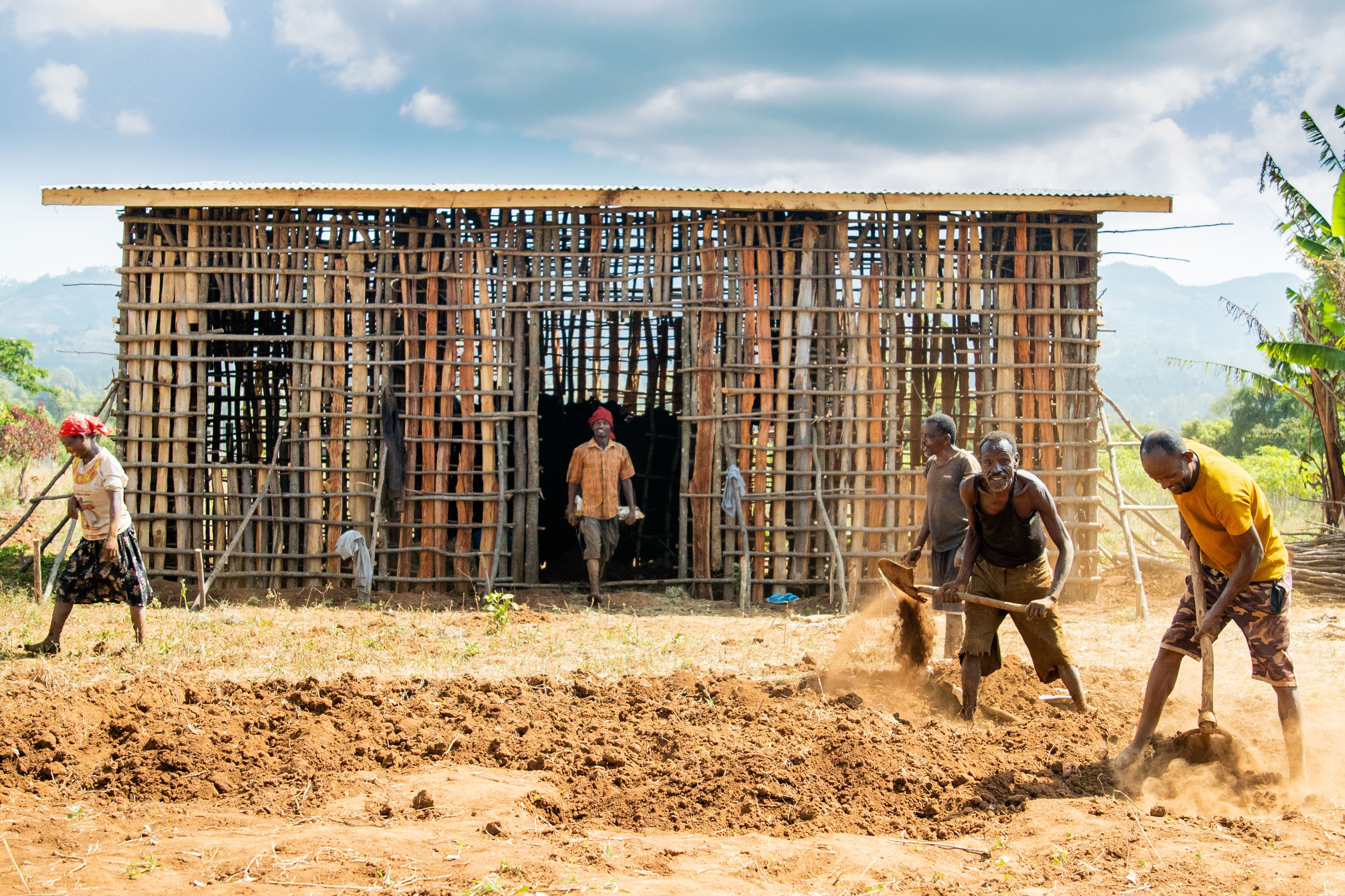 Barefoot agricultural workers dig red soil in front of barn