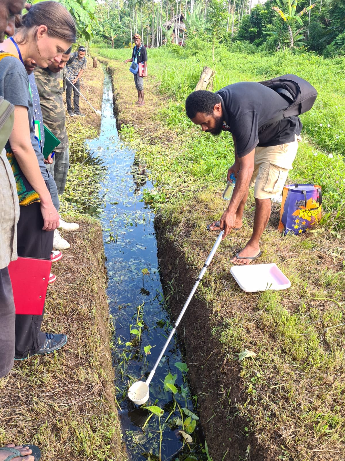 A man collects mosquito larvae from a water channel using a cup on a long pole